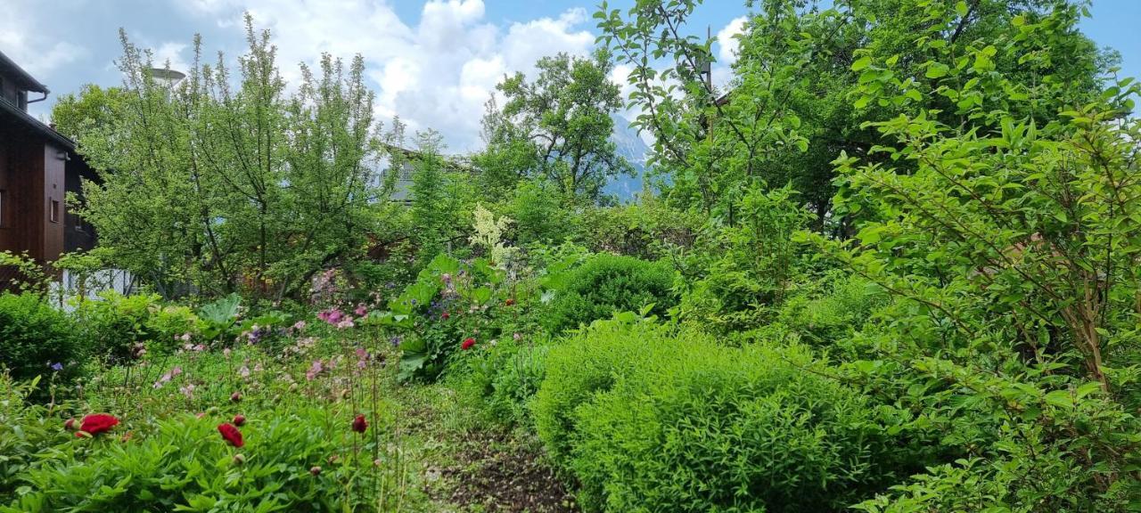 Apartements Breitenwang * Reutte